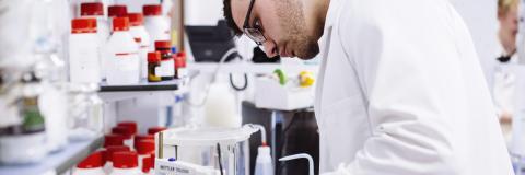 Male student working in a biology lab
