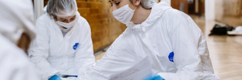 29/02/2020.HSS..All Rights Reserved - Helen Yates- T: +44 (0)7790805960.Local copyright law applies to all print & online usage. Fees charged will comply with standard space rates and usage for that country, region or state.