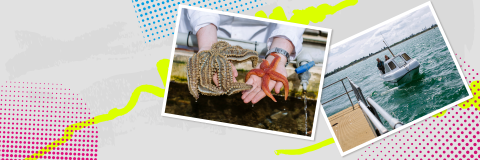 STARFISH IN STUDENTS' HANDS