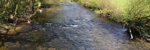 Chemcatcher river