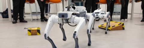 Two bionic robot dogs, designed for applications like robotics research, education, and autonomous navigation testing.