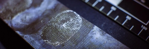 Fingerprint analysis