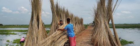 Men tending to large pile of hay in Asia