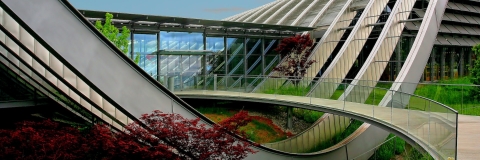 Modern architecture with plant life entwined