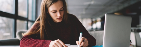 STANDARD LICENSE; PLEASE SEE ADDITIONAL ASSET FOR FULL LICENSE TERMS.