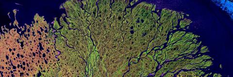 Satelite image of the Lena Delta Reserve in Siberia, the colours of the blue water and green land appear vivid as if enhanced