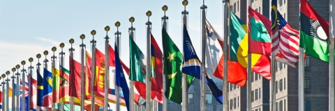 STANDARD LICENSE; PLEASE SEE ADDITIONAL ASSET FOR FULL LICENSE TERMS.Flags of all nations outside the UN in New York City.