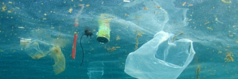plastic bags and other plastic waste floating in the ocean