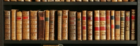 bookshelf full of old books