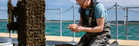 male student observing marine life sample on pontoon