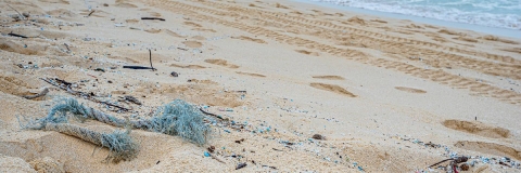 Microplastics on a beach in Asia