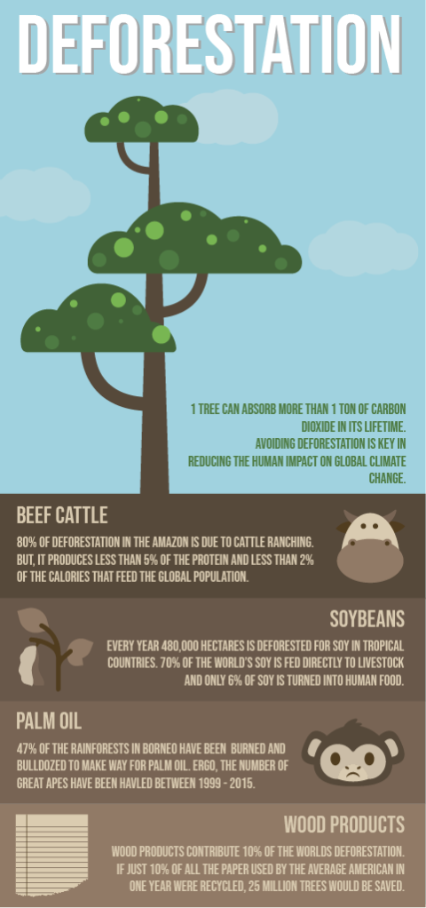 deforestation infographics