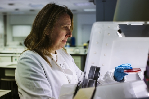 Dr Sarah Fouch wearing a white lab coat working with samples in a lab