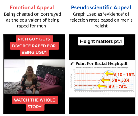 Emotional and Pseudoscientific Appeals from TikTok data