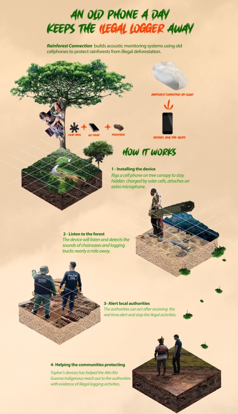 deforestation infographics