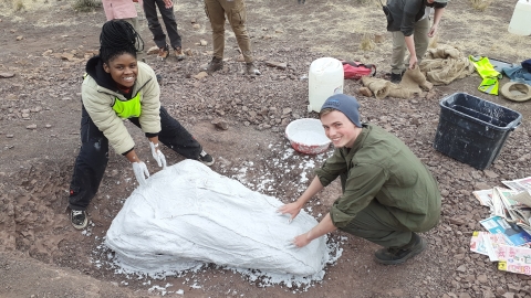 Ben Thomas and another student plaster jacketing Lystrosaurus in South Africa