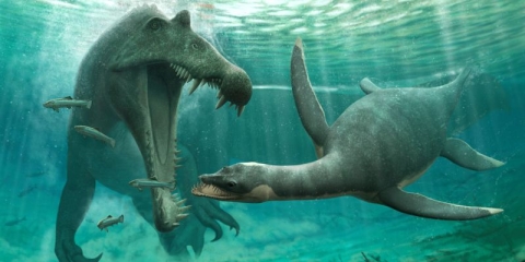 An artist's impression of a plesiosaur and Spinosaurus, the largest predatory dinosaur known. Image credit: Nick Longrich, University of Bath