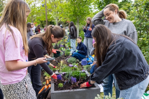 Students planting in Ravelin Park