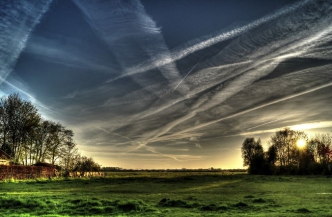 A field surrounded by trees under a sky with several crisscrossing contrails