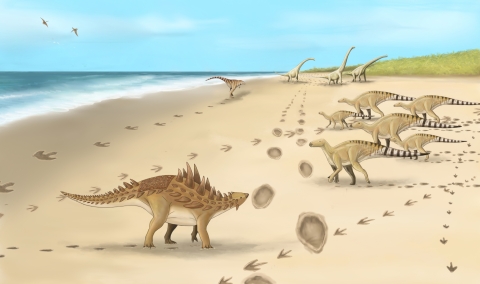 An artist's impression of the dinosaurs and footprints
