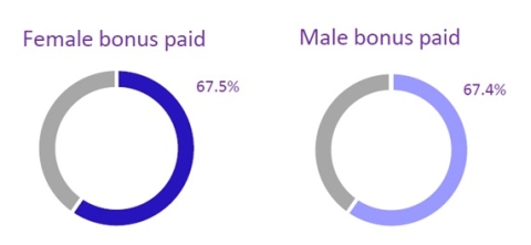 gender-pay-gap-bonus-received-pie-chart