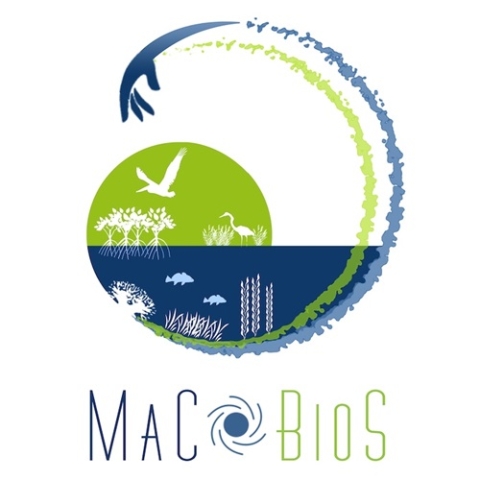 MaCoBioS logo