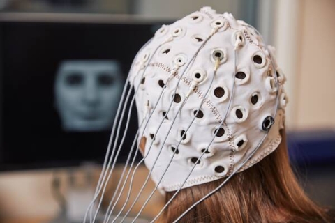 An experiment to record the electrical activity in the brain