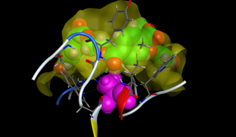 A trimer of PET polymer docked in the active site of PETase