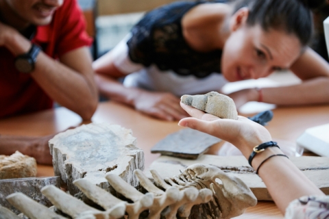 Students examining fossils in palaeontology lab