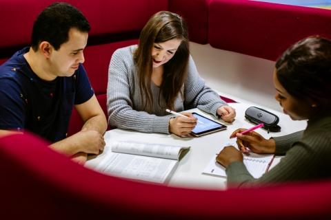 Postgraduate students studying in library