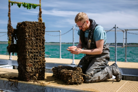male student observing marine life sample on pontoon