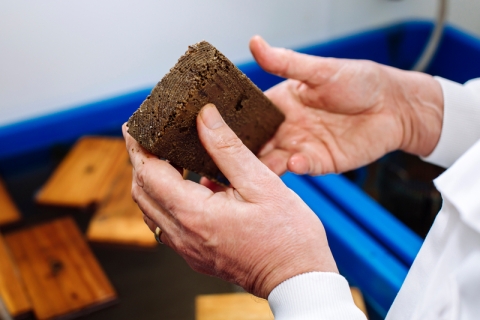 A block of wood being examined in a laboratory