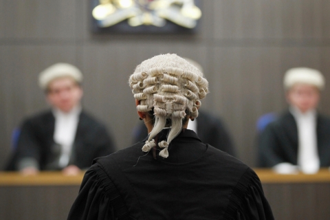 The back of a barrister in court wearing a peruke
