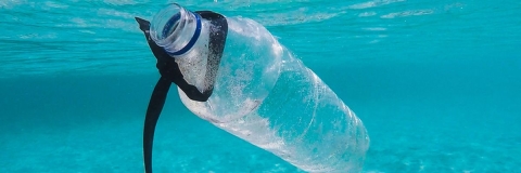 Clear plastic water bottle under a body of water
