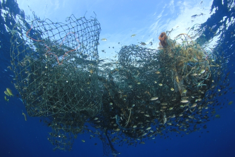 Can Biodegradable Nets Tackle Unsustainable Fishing?