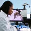 A PhD student in the lab looking down a microscope 