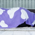 A person sleeping in a doorway