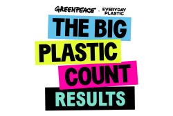 Big Plastic Count results graphic