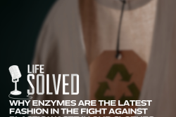 Life Solved logo with pictures and descriptive text