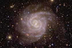 Euclid's view of a spiral galaxy