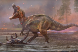 An artist's impression of two dinosaurs fighting