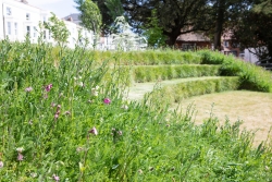 Wildflower amphitheatre in Ravelin Park