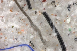 cruise microfibre sample