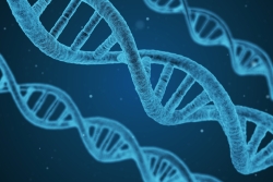 A DNA Helix