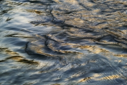 water unsplash image