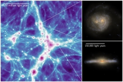 Visual impressions of the COLIBRE simulations