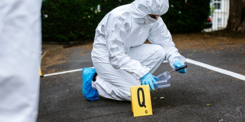 Person doing forensic study