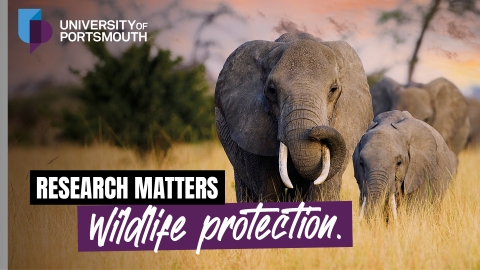 Research Matters: Wildlife Protection